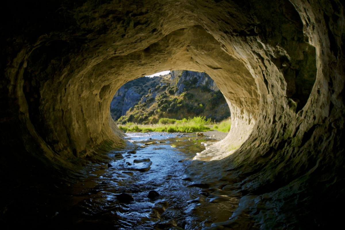 Oh my God—it’s full of&nbsp;stars!